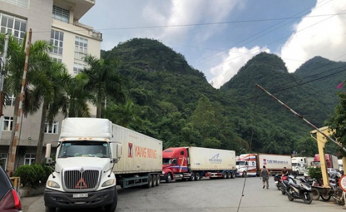 Hướng dẫn kiểm dịch y tế đối với người điều khiển và phương tiện vận tải Hướng dẫn kiểm dịch y tế đối với người điều khiển và phương tiện vận tải